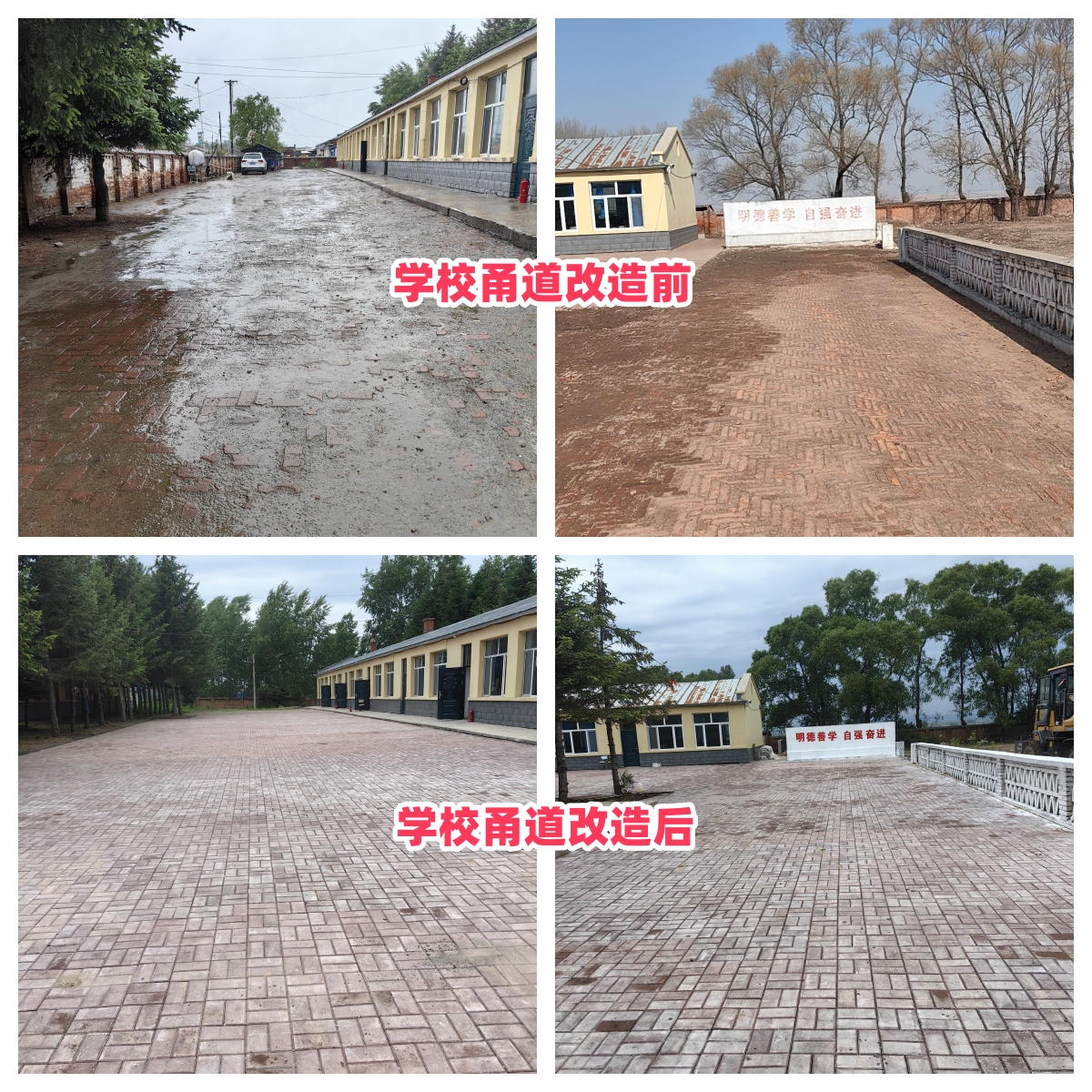 第254所 黑龙江巴彦县黑山镇民乐村九游在线-九游在线（中国）
侯玉霞学校