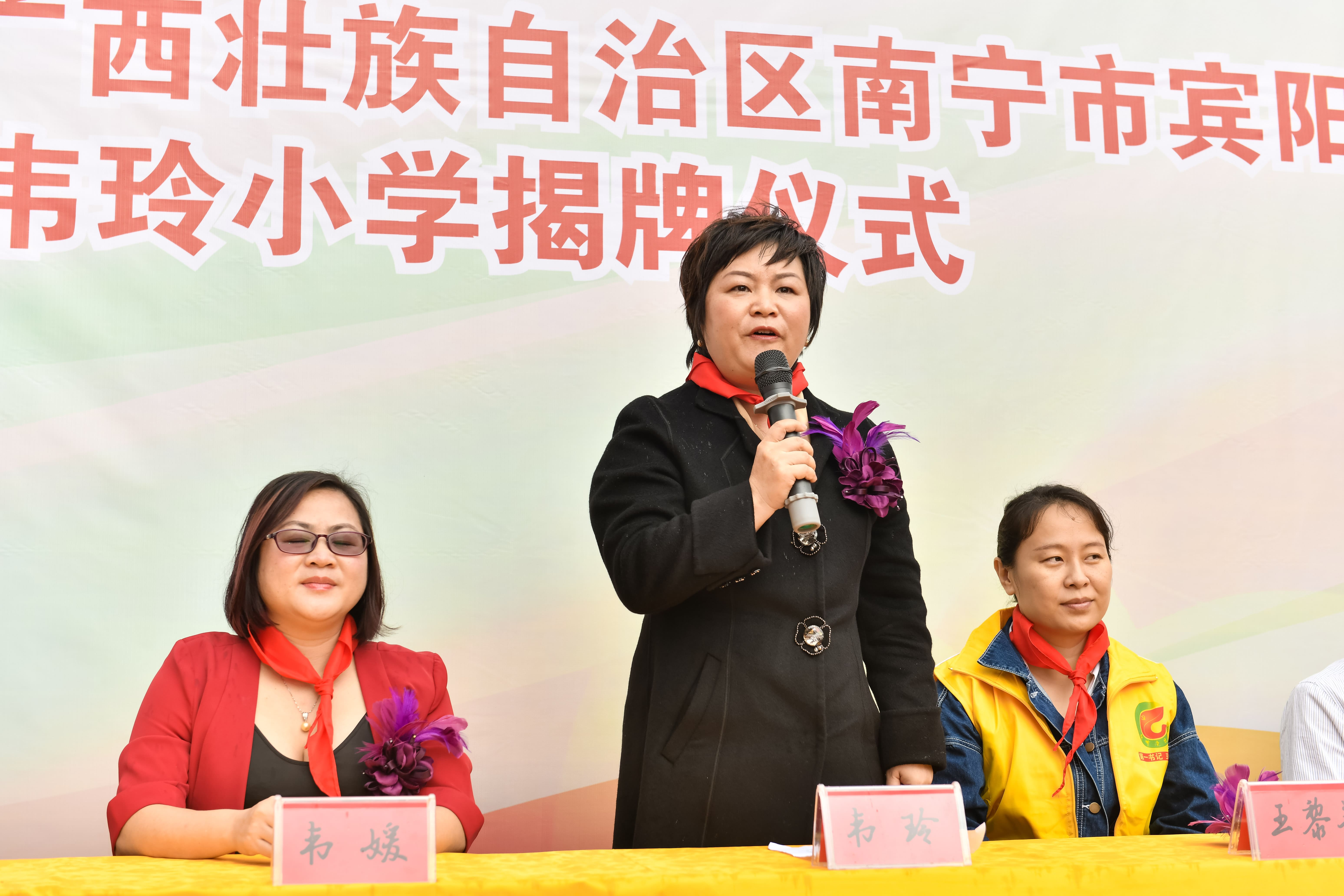 第184所  南宁市宾阳县思陇镇昆仑村九游在线-九游在线（中国）
韦玲小学